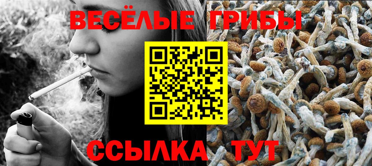 Галлюциногенные грибы прущие грибы Новоалександровск