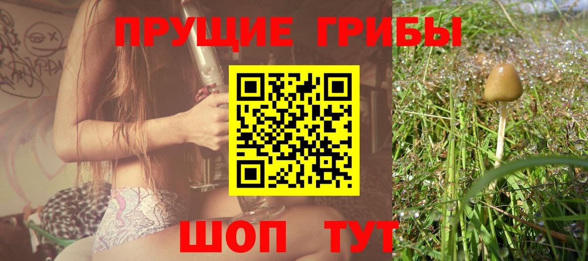 Галлюциногенные грибы прущие грибы  Вход с VPN  Новоалександровск 